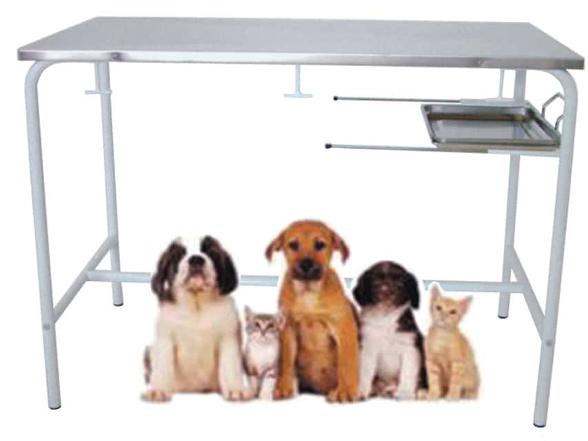 Undersökningsbord för veterinär