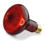visar röd glödlampa