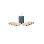 visar LA13501350 Laerdal Little Anne Light 6-pack