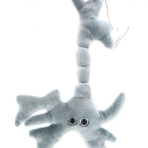 Giant Microbes Hjärncell
